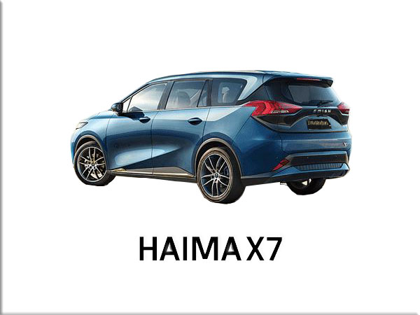 haimax7
